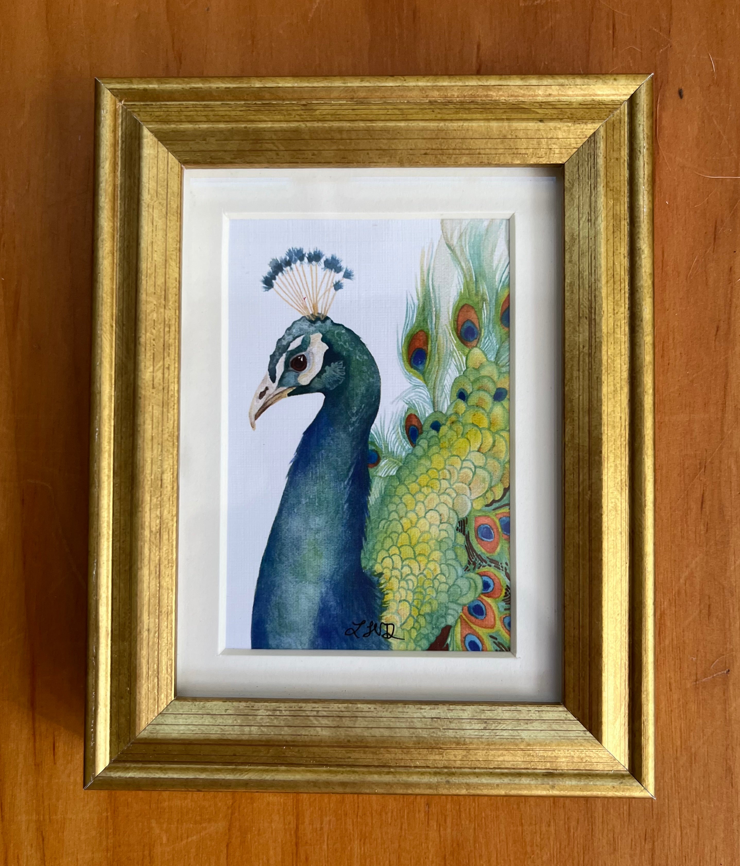 Watercolor painting of a peacock in a gold picture frame. 