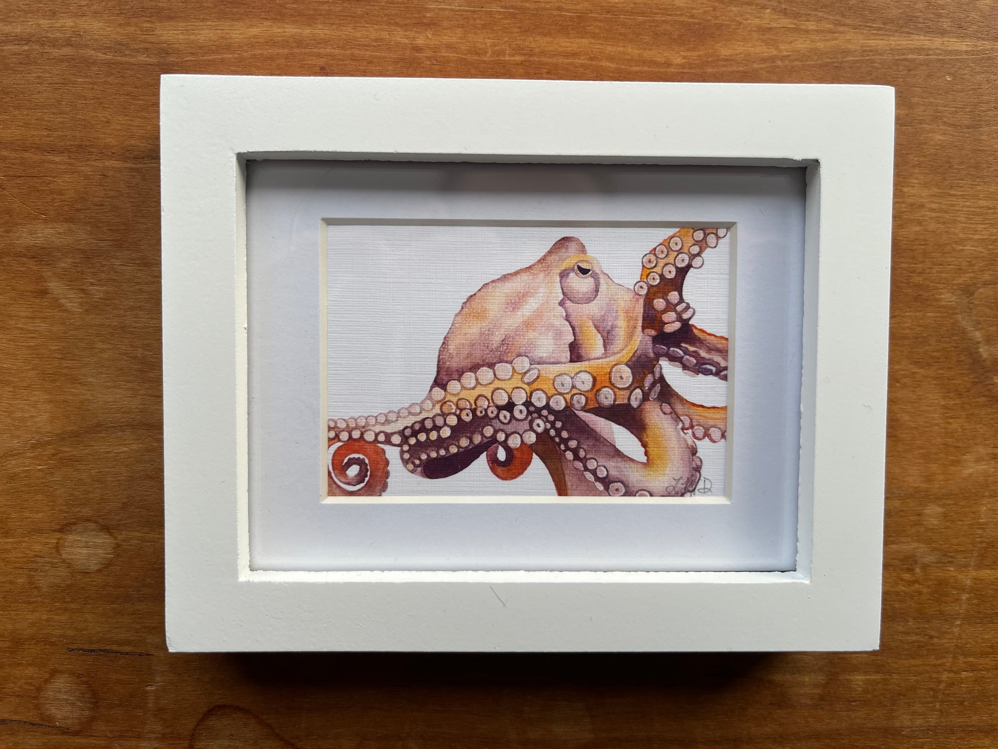 Watercolor painting of an octopus in a white picture frame. 