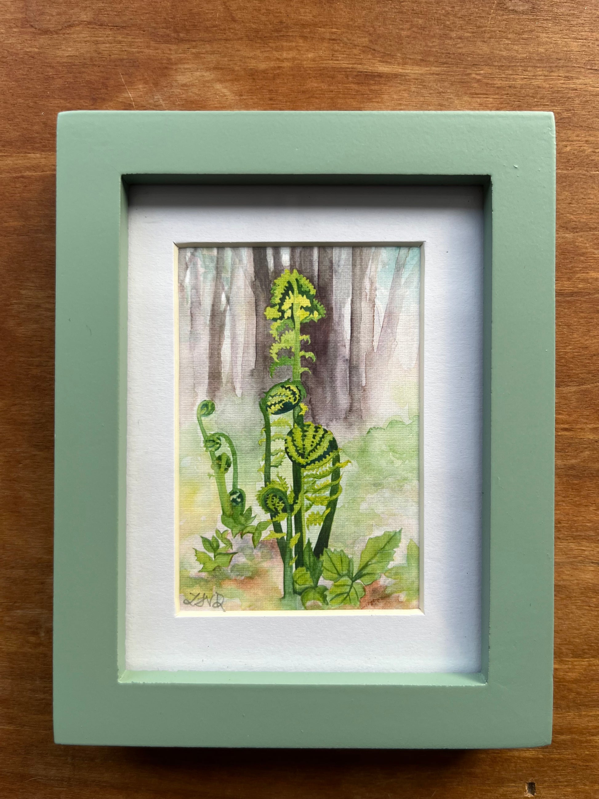Watercolor painting of fiddlehead ferns in a forest in a green picture frame. 