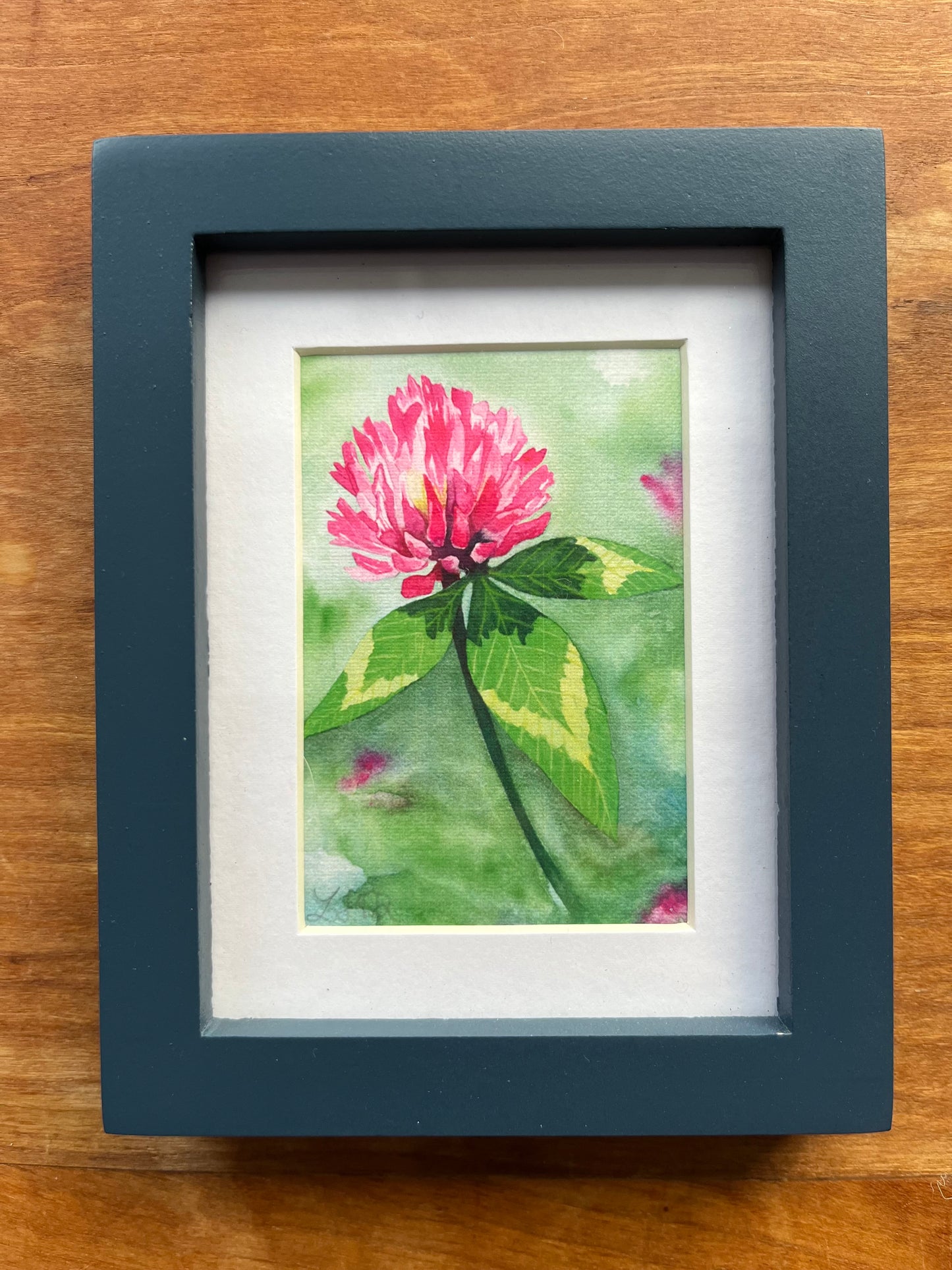 Watercolor painting of a red clover flower in a blue picture frame. 