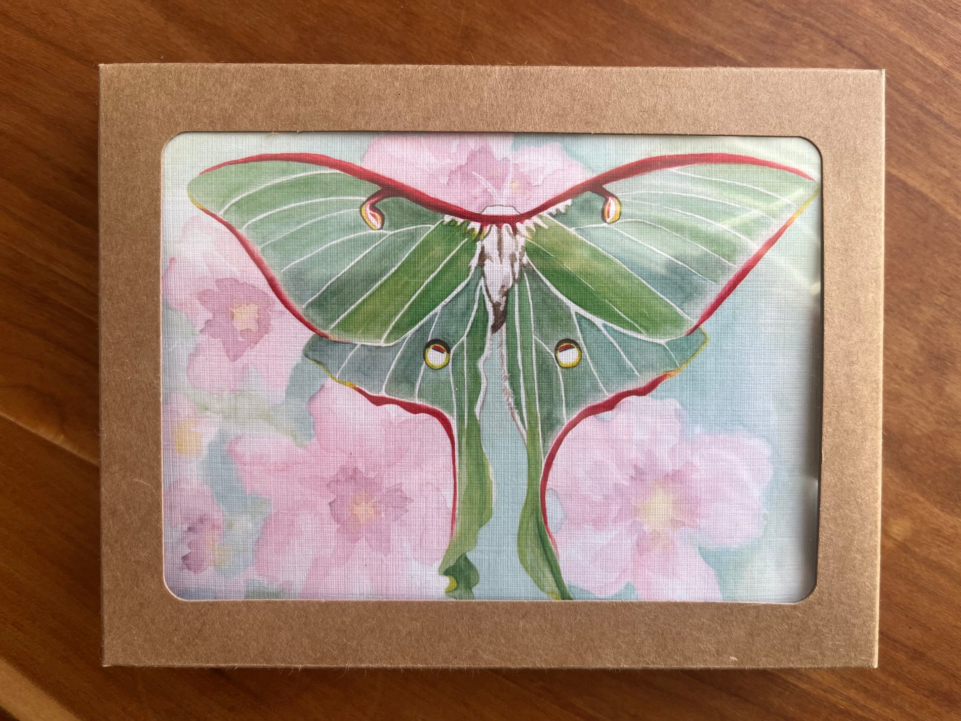 Kraft box of greeting cards with a watercolor painting of a luna moth. 