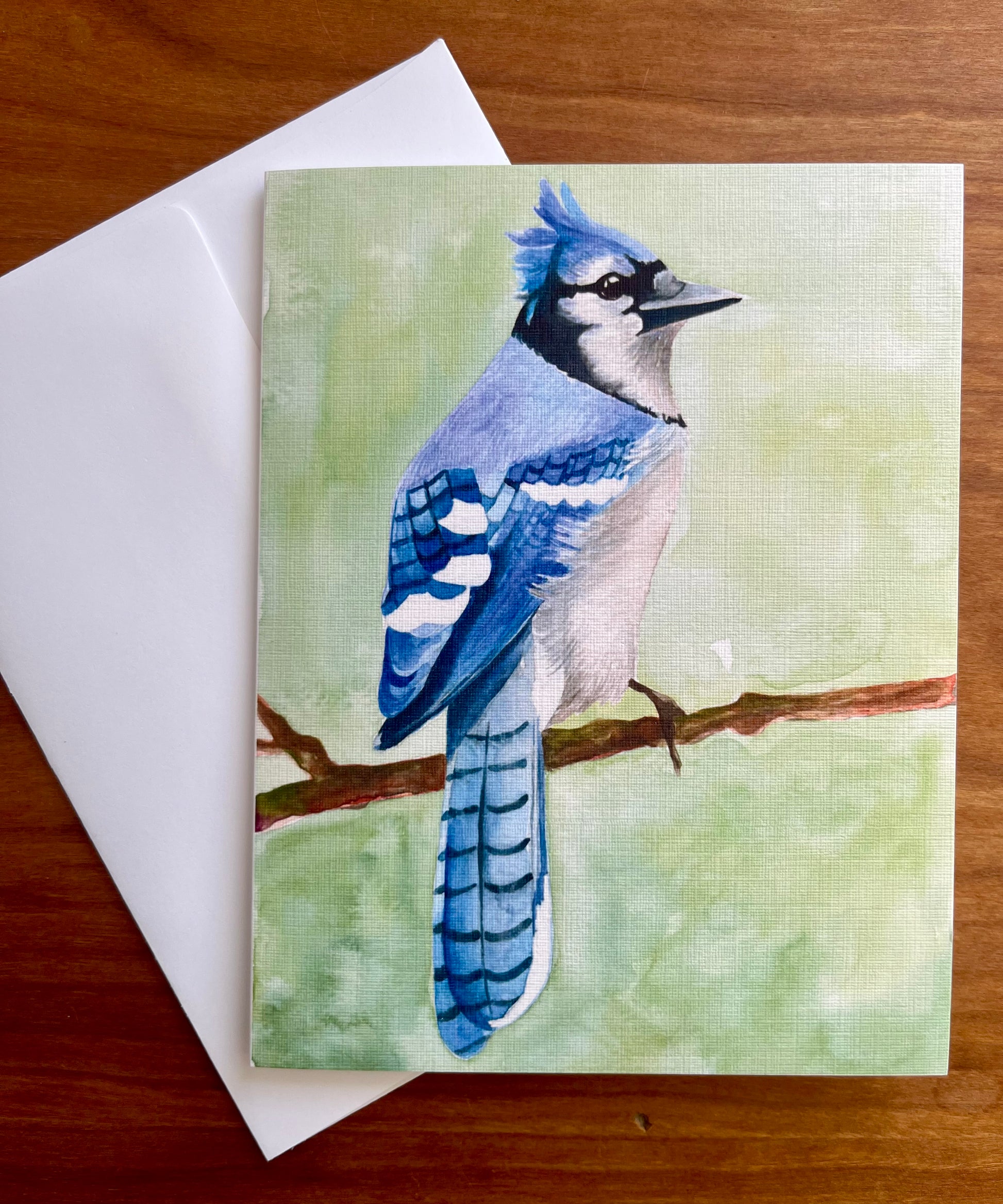 Greeting card with a watercolor painting of a bluejay along with a white envelope. 