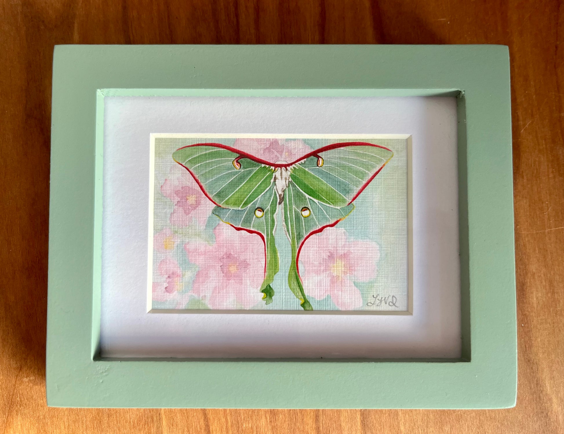 Watercolor painting of a luna moth in a green frame with a white mat. 