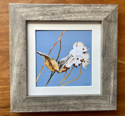 Watercolor painting of a milkweed in a square grey frame. 
