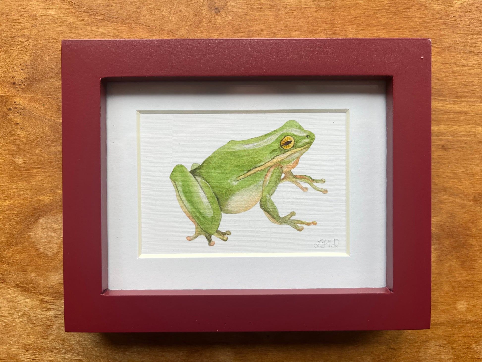 Watercolor painting of a green frog in a maroon red picture frame. 