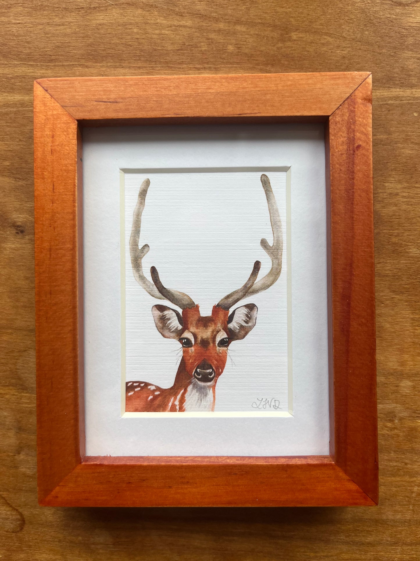 Watercolor painting of a young male deer in a brown frame. 