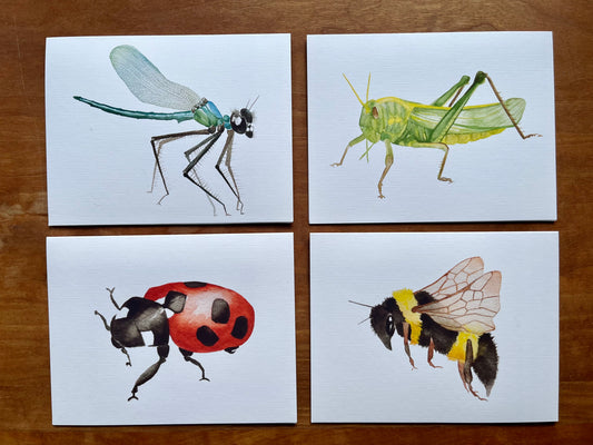 a set of four greeting cards one with a watercolor dragonfly, a watercolor grasshopper, a watercolor ladybug, and a watercolor bee. 