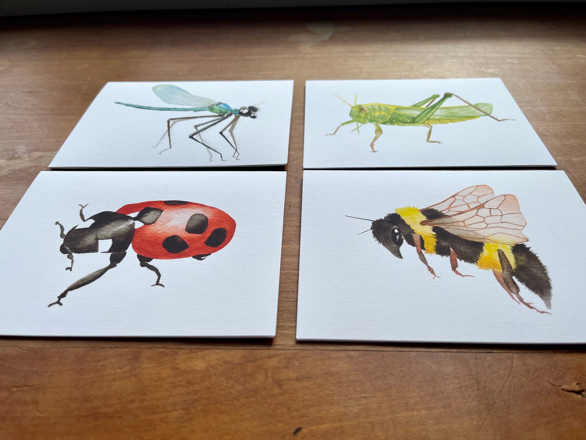 a set of four greeting cards one with a watercolor dragonfly, a watercolor grasshopper, a watercolor ladybug, and a watercolor bee. 