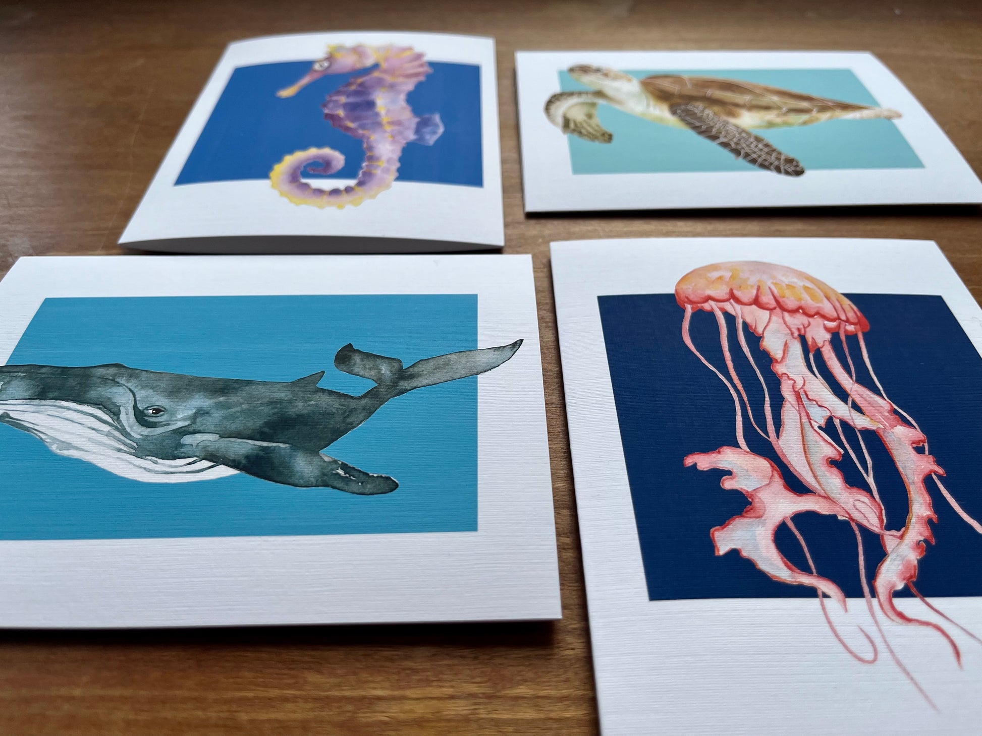 four greeting cards with one of each watercolor painting of a sea turtle, seahorse, whale, and jellyfish.