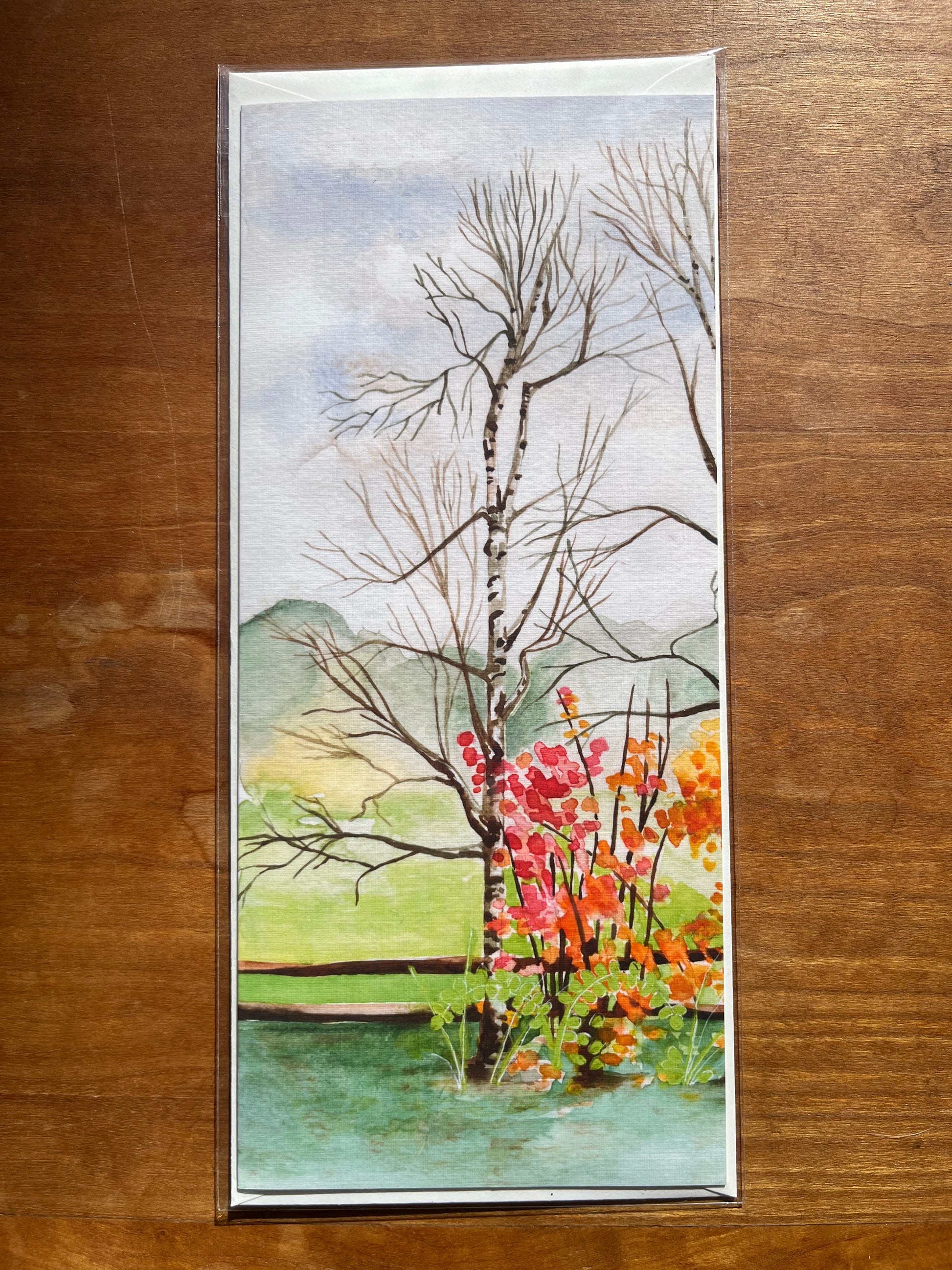 4x9 greeting card with painting of birch trees and fall foliage. 