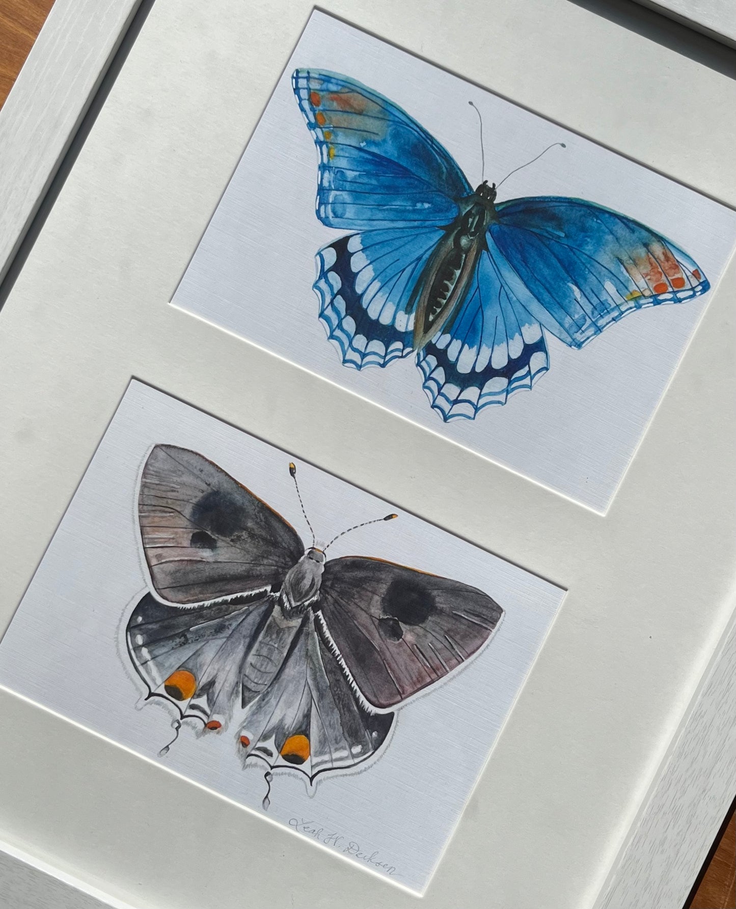 framed watercolor print of a blue spotted purple butterfly and a grey hairstreak butterfly. 