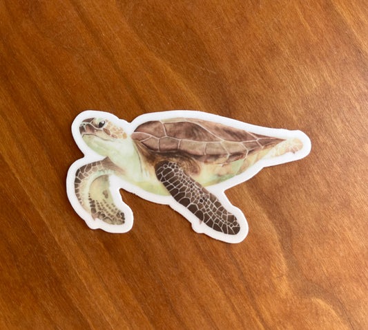 sticker with a watercolor painting of a sea turtle.