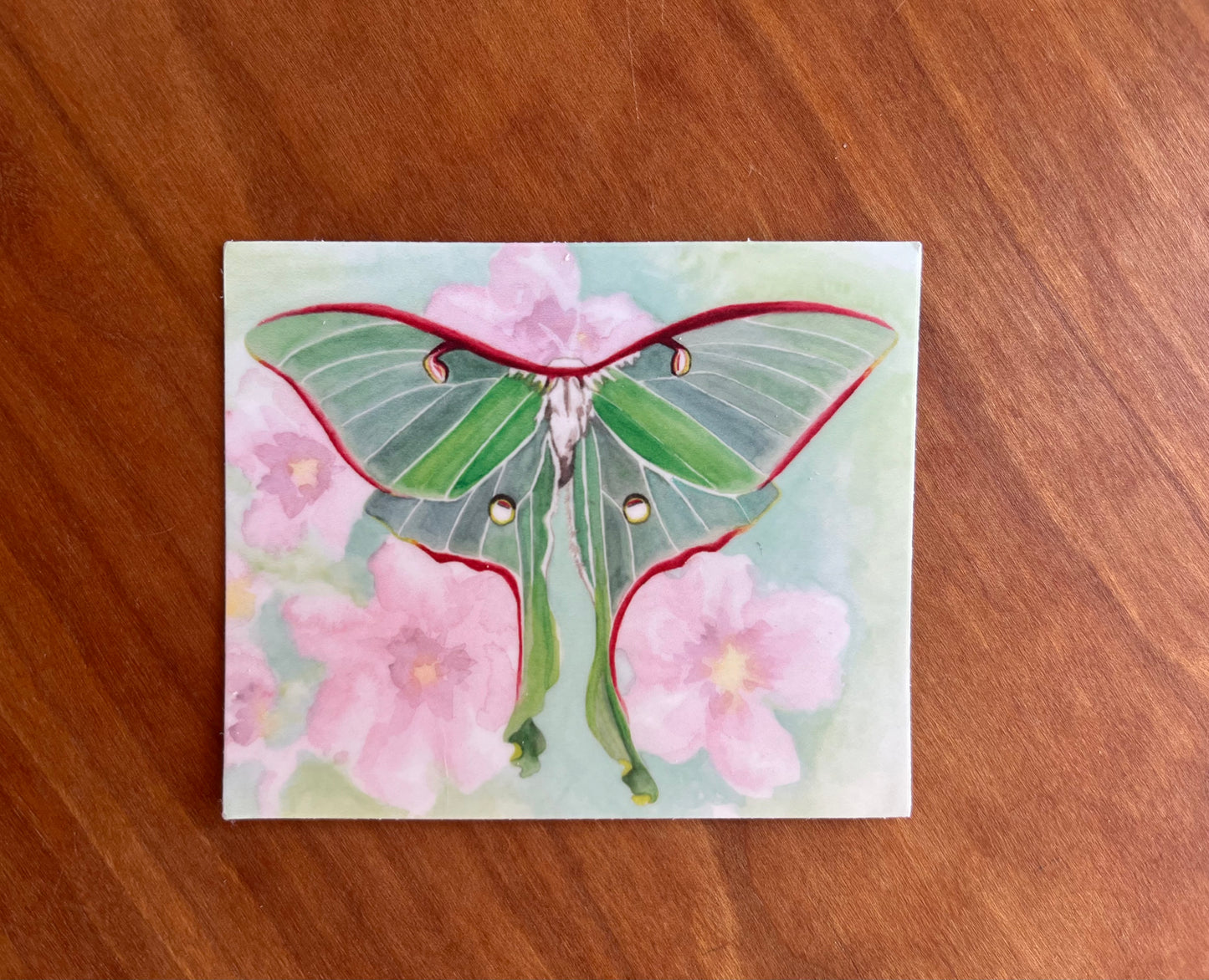 sticker with a watercolor painting of a luna moth.