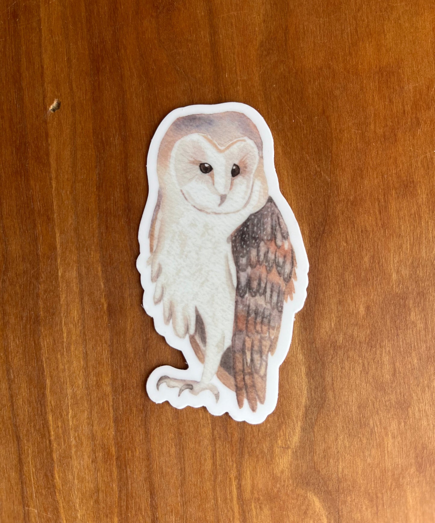 sticker with a watercolor painting of a barn owl.