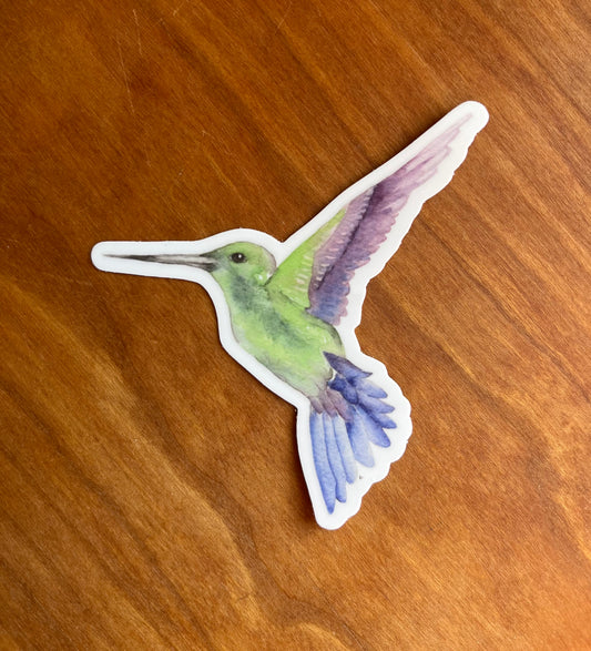 Hummingbird Watercolor Sticker