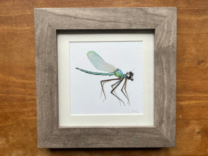 Square Framed Dragonfly Watercolor