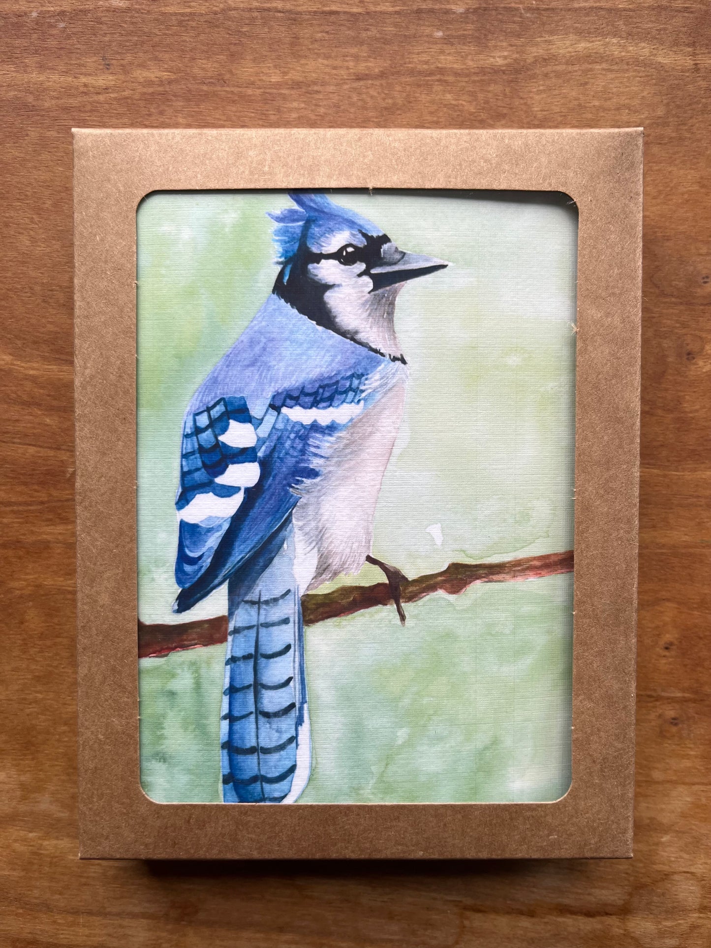 Bluejay Watercolor Greeting Cards 4 Pack