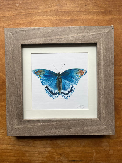 Square Framed Red Spotted Purple Butterfly Watercolor