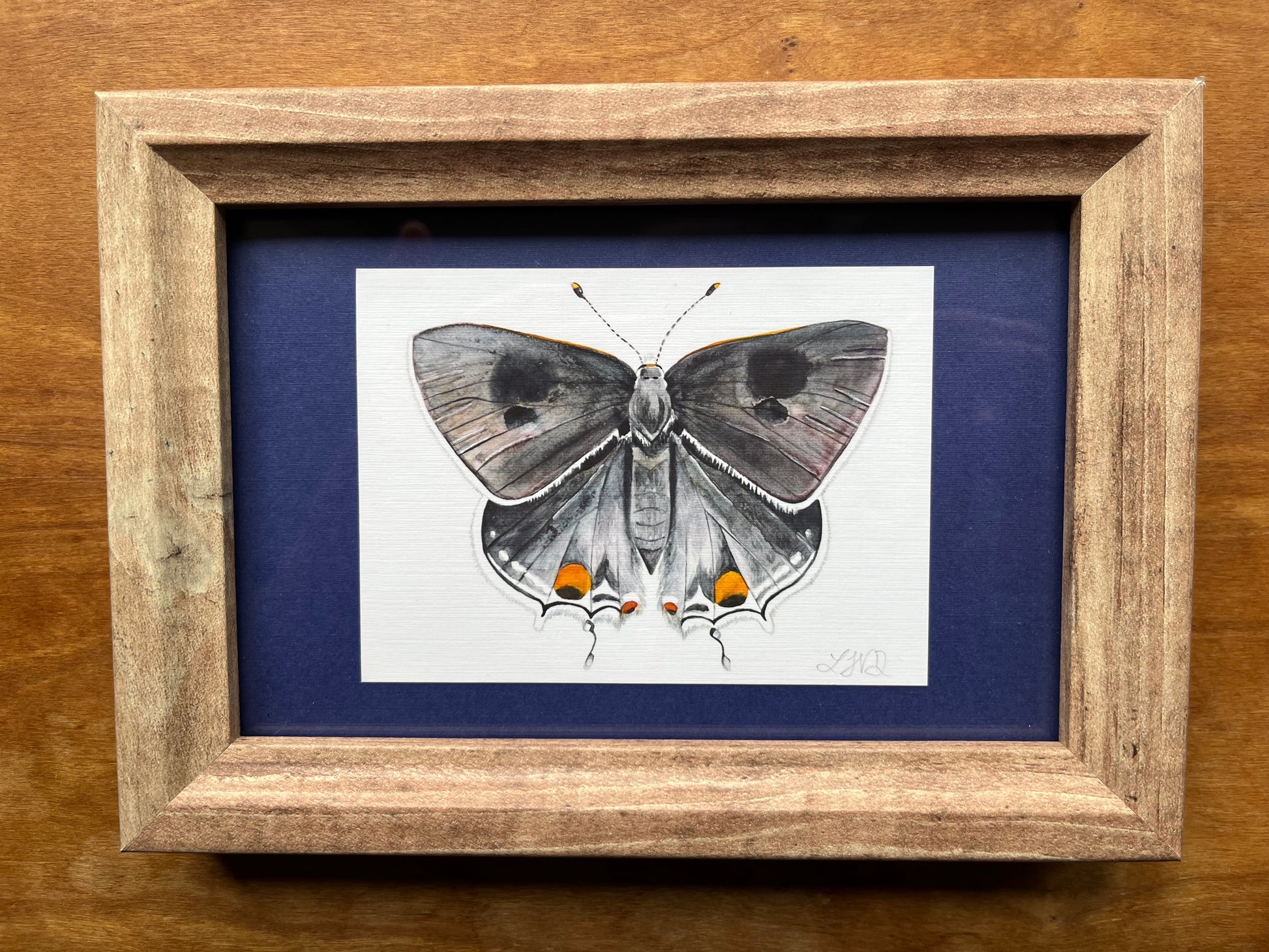 Watercolor painting of a grey hairstreak butterfly in a brown frame with a blue matte. 