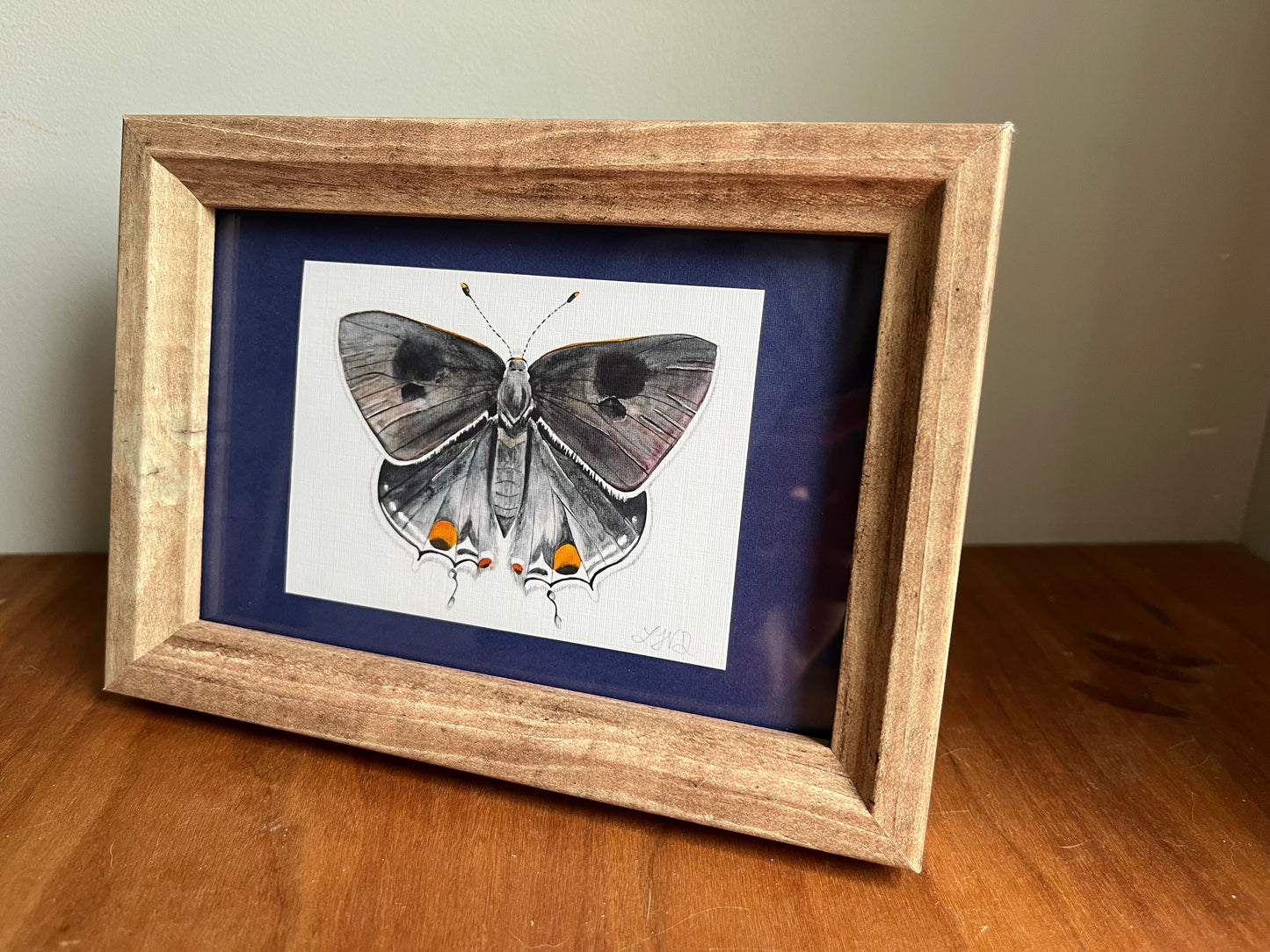 Watercolor painting of a grey hairstreak butterfly in a light brown picture frame with a blue matte. 