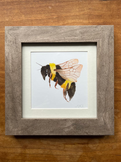 Square Framed Bee Watercolor