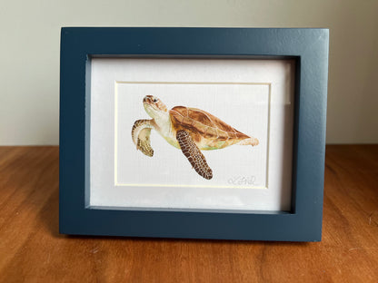 Watercolor sea turtle in a blue picture frame with a white matte standing up on a table top.