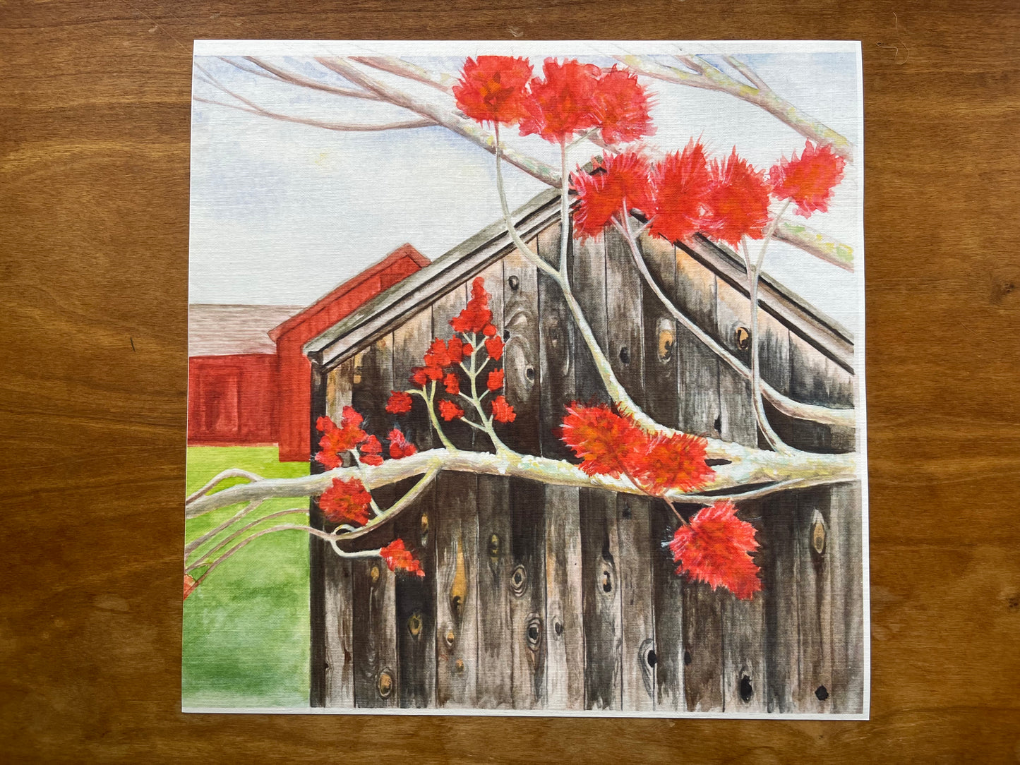 Watercolor painting of red maple buds against a grey barn.