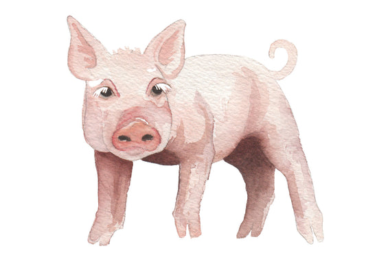 watercolor painting of a pink piglet. 