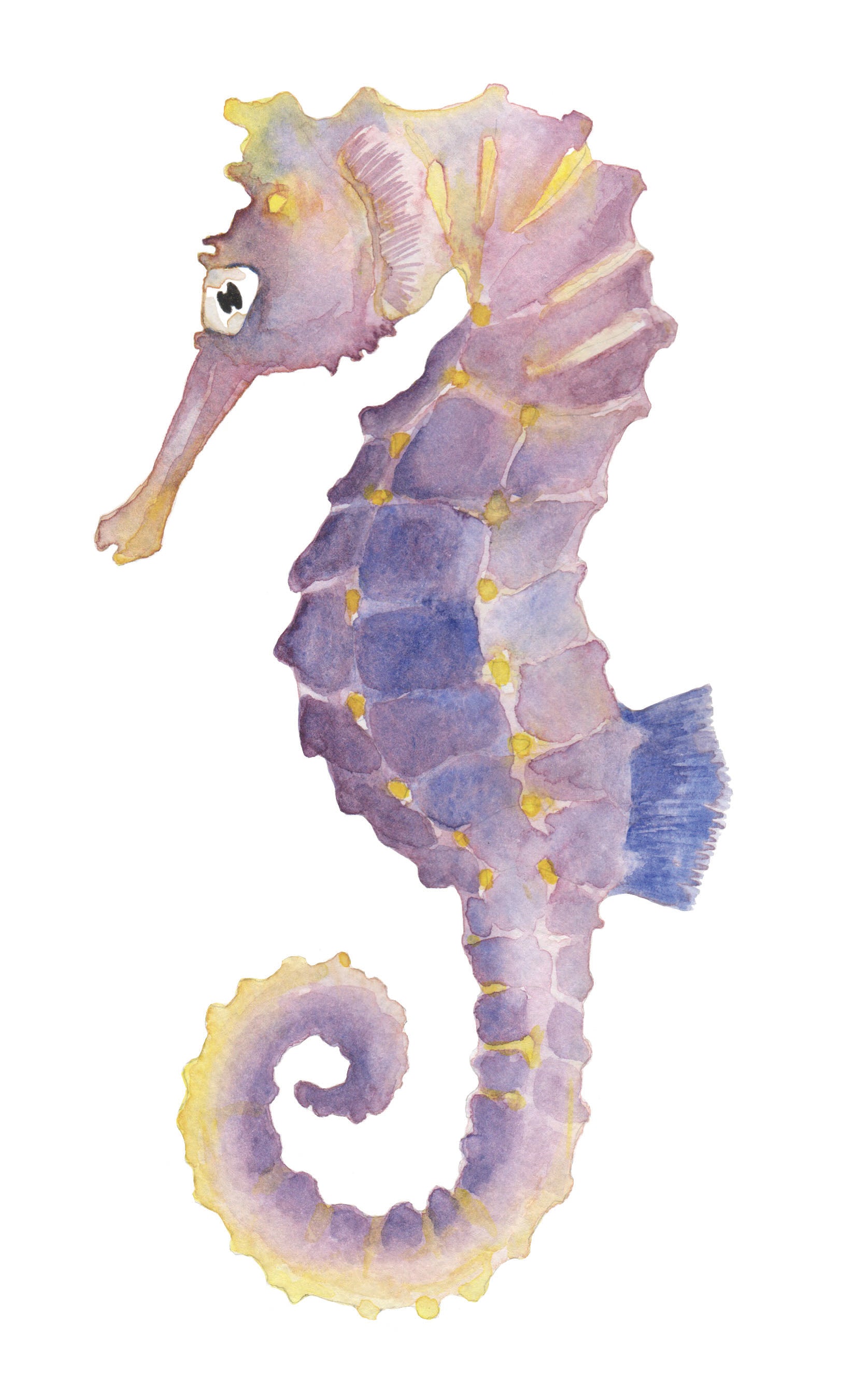 watercolor painting of a seahorse.