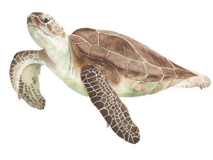 Watercolor print of a sea turtle.