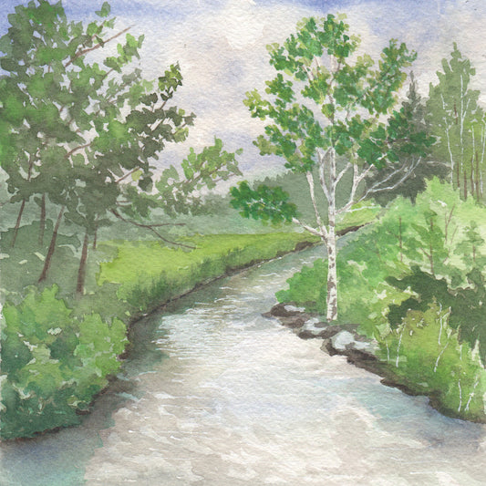 Watercolor painting of a serene forest with a stream