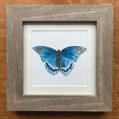 Red Spotted Purple butterfly watercolor painting in a square grey picture frame. 